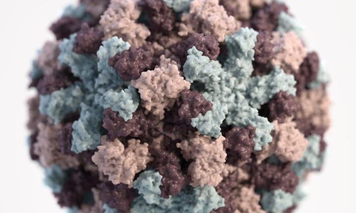 Pathology, 3D graphical representation of Norovirus virion, Virus, Norwalk-like viruses